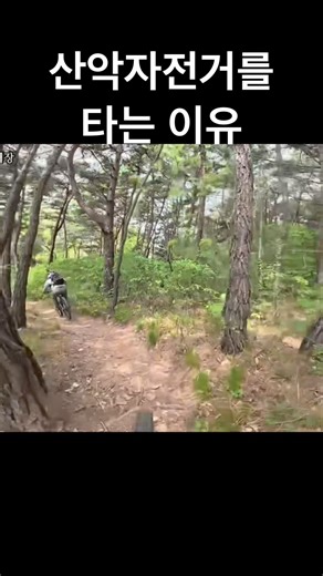 체감속도 미쳤음! 이게 바로 산악자전거의 매력!! #산악자전거 #MTB코스 #scottmtb
