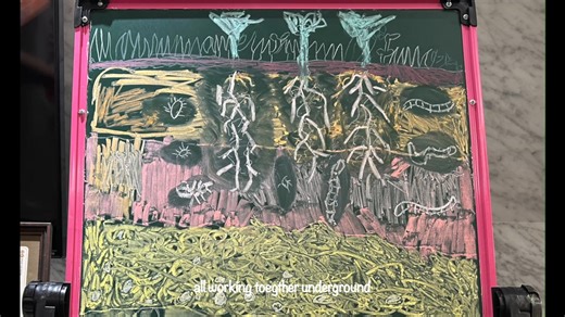 Healthy soil for healthy people! "We used stop motion animation to show how healthy soils are important for healthy plants, and how these plants are food for us and help to combat climate change. That means healthy soils = healthy people!" Team: Super Soil Han Fang Ning Han Fang Xuan Fang Shihan | The Global Soil Partnership