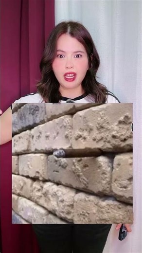 What's hidden in the image? #shorts