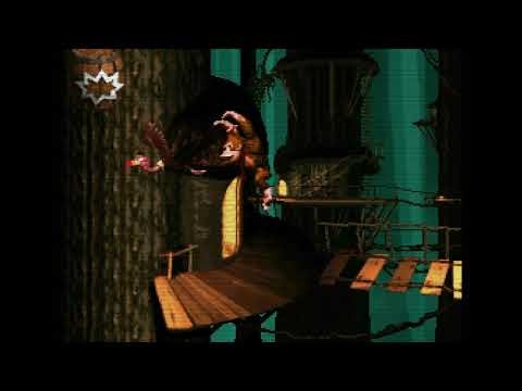 Donkey Kong Country Part 3— Vine Valley Vavavoom