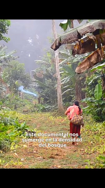 Guardianes del bosque: Preservando la Amazonía