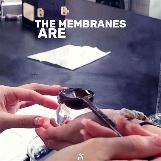 99% Water Forms a Hydrogel Membrane?! #SodiumAlginate #ChemistryExperiment