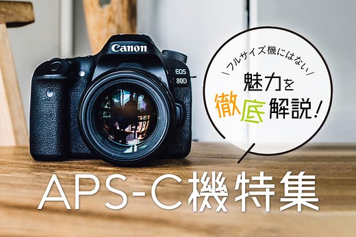 おすすめのAPS-Cミラーレス・一眼レフカメラ17選