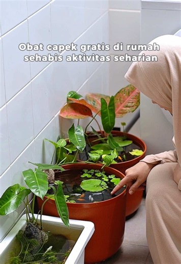 Mini pond di sudut rumah: ide healing & dekorasi tanaman