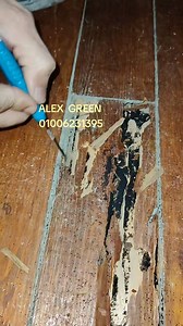 44K views · 165 reactions | اصابة نمل ابيض من نوع DRAY Wood Termite...