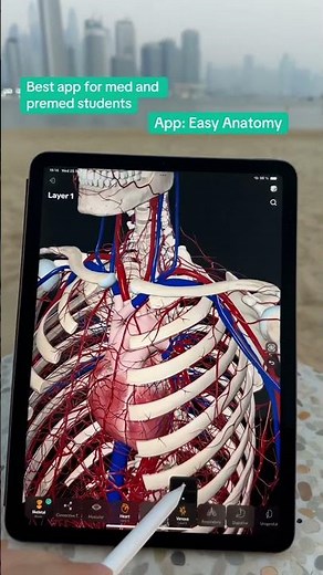 @easyanatomyappen Easy Anatomy App - 3D Atlas: zoom, isolate, slice & label!