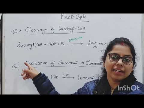 Kreb Cycle step by step | Metabolism| The Kreb Cycle | Citric acid Cycle | TCA cycle | #biochem