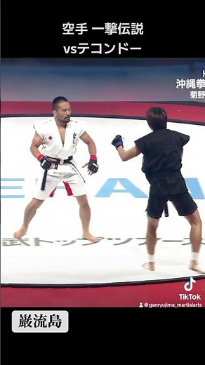 Karate "One-Strike Legend" vs Taekwondo [Ganryu Island]