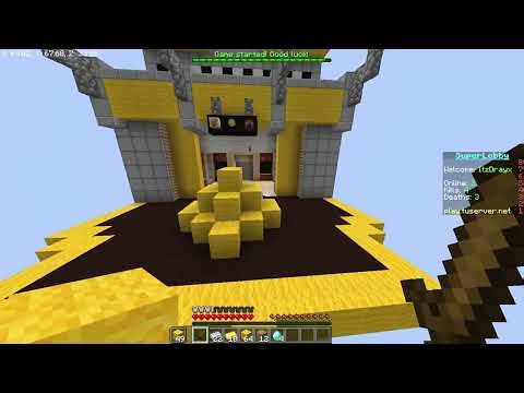 My Minecraft Server Tour With Lil Bro! Survival, Bedwars, Lifesteal + IP