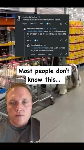 People Are ARGUING About Off-Leash Service Dogs 😳