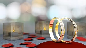 Wedding theme animation, rings.