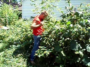 Weed Wrench Demonstration, Russ Henry, Giving Tree Gardens