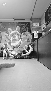 Les relations canines ont toujours été, pour moi, d’une clarté magnifique 🐾✨. Avec les chiens, tout est vrai, simple, instinctif… Peu importe la race, la personnalité ou le tempérament, le lien se crée naturellement. Mais les relations humaines… elles viennent parfois bousculer mon univers 🌧️. Certaines personnes, surtout, réveillent ce petit tremblement intérieur qu’on appelle l’anxiété. Et pourtant, malgré cette apparence de femme forte, fonceuse et résiliente 💪🔥, je suis aussi une âme hyp