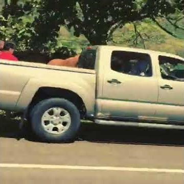 Fresh air = fresh mind. ✨