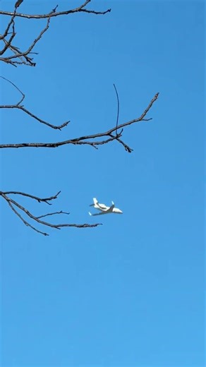 Dassault Falcon 900EX in final approach to Houston Hobby
