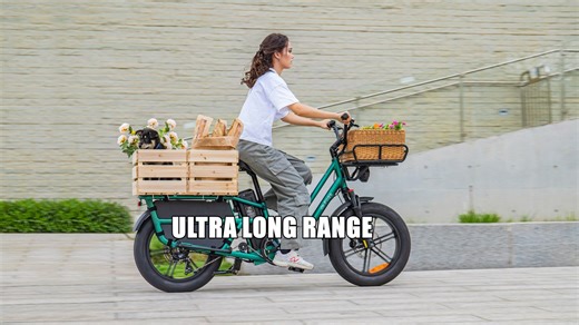 The Fiido T2 Cargo eBike Brings Ultra-Long Range, Powerful Motor and Multi-Functionality