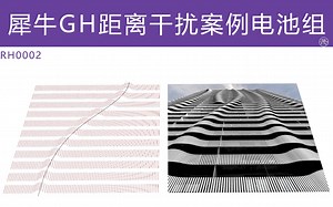 RH0002-犀牛GH距离干扰案例电池组