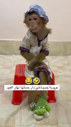 158K views · 1.3K reactions | #hastagfbreels 藍 #new #الجزائر_algeria #الجزائرالعاصمة #abonne_toi_sur_la_page_et_partage #أوروبا #المغربMorocco #الجزائر #Sfax #مصر #تونس #ليبيا #hashtag Followers+likes 1M ᢏ Followers3 @ [623823403784581:49210:@à la une] | Mohamed Laouay | Facebook