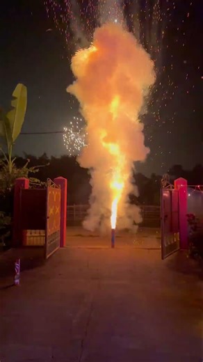 Lovely Fireworks 🎆! Zoom ! #Diwali 2024 #skyshot #Firecrackers #Pinkout #pyro