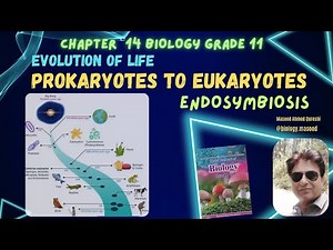 The Evolution of Life: From Prokaryotes to Eukaryotes | Endosymbiosis | 2025