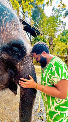 Ellies bra. Ellies 🐘🐘🥺🥺❤️