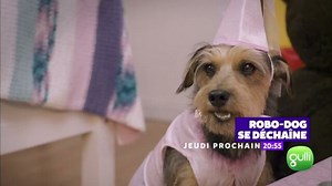 Robodog se déchaîne ! - Télé-Loisirs