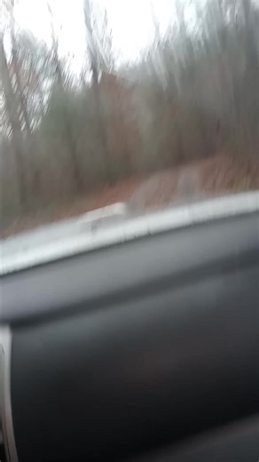 David Brewster on Reels