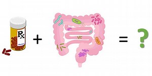 Do Antibiotics Change Your Gut Microbiome? | Science Project