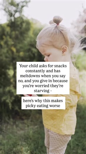 Ale | An Approach Based on Child Development and Experience on Instagram: "“Can I have a snack?” You just served lunch 45 minutes ago. They ate two bites. “You didn’t eat your lunch, so no snack right now.” Instant meltdown. Crying, screaming, “I’m so hungry!” You panic. What if they really are starving? So you give them crackers to stop the tantrum. This happens 6-8 times a day. Here’s what’s really going on: Your child isn’t starving. They’re training you. They’ve learned that refusing meals g