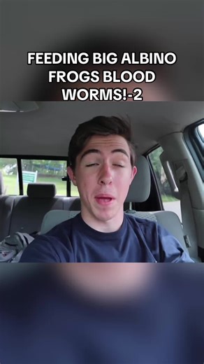 FEEDING BIG ALBINO FROGS BLOOD WORMS!-2
