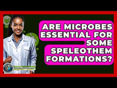 Are Microbes Essential For Some Speleothem Formations? - Earth Science Answers