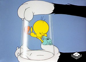 👀Two steps to ensuring your trick works👇⁣ Step 1: Don't give away the secret 🤫⁣ Step 2: Don't give away the secret!✋ | Boomerang