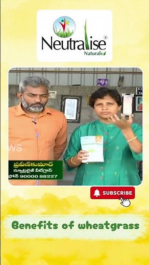 Top Benefits of Wheatgrass You Need to Know | Neutralise naturals. #shots