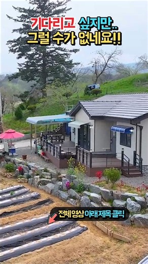 (급매) 결국 2,500만원 내립니다!! 더는 기다릴 수 없네요!! 가격 조정하는 141평 텃밭의 전원주택 매매 #shorts