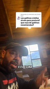 26K views · 795 reactions | Que línea de gallina te sirve más , eso y muchísimas cosas más en mi primer libro Gallinas Libres crianza eficiente al libre pastoreo | Granja El Motilon | Facebook