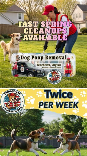 Spring Clean Yard Reset Dog Poop removal Winchester Virginia