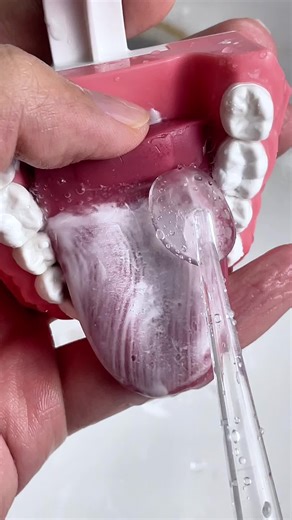 Best Teeth Cleaning Products You Need Now