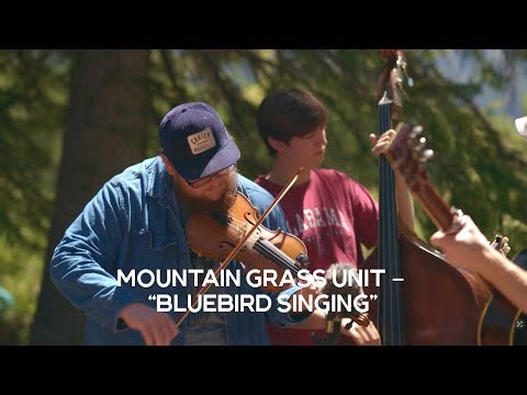 Mountain Grass Unit | Bluebird Singing | Solstice Sessions at Telluride Bluegrass