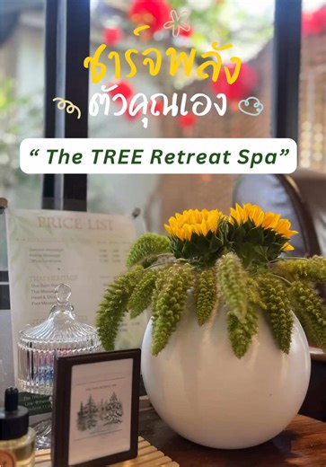 The Tree Retreat Spa: Reconnect and Relax
