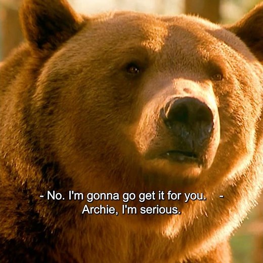 The reason it left: It was a bear in the city.|Dr. Dolittle 2 #motivation #fyp #shorts #ytshorts