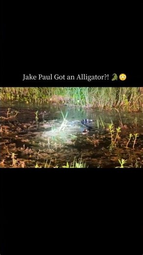 @PaulFamilyRanch on You Tube Did Jake Paul Just Grab an Alligator Barehanded?! 😳🐊 #jakepaul