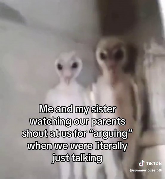 Owls and Aliens: Baby Owls Resembling Extraterrestrial Creatures