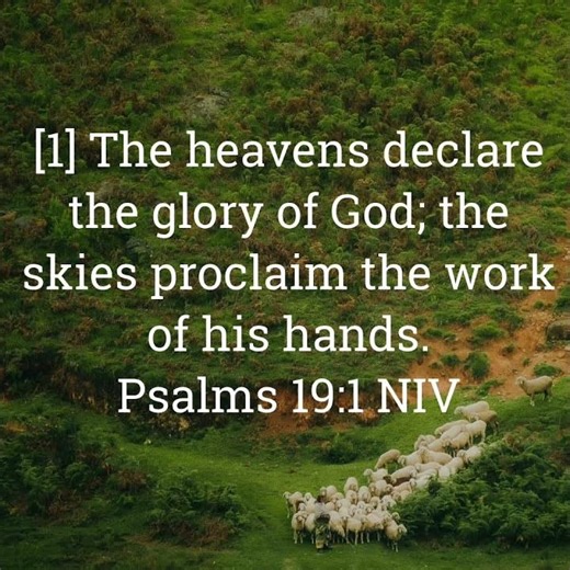 The Work of His Hands - Creation, Cathedrals, and the Quest for God