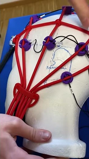 Thomas Feiner´s EEG Free Cap 10-20 System