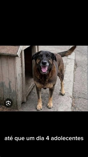 #justiçapororelha #shortsviral #cachorro #cachorrosdivertidos #viralshort