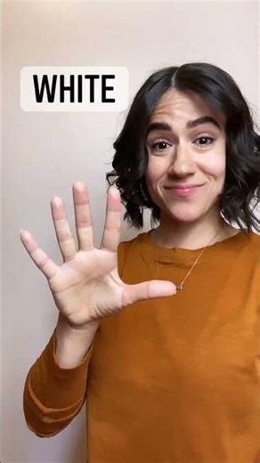 Colors - Part 3 (BLACK, WHITE, GRAY) | ASL Glossary | The ASL Shop