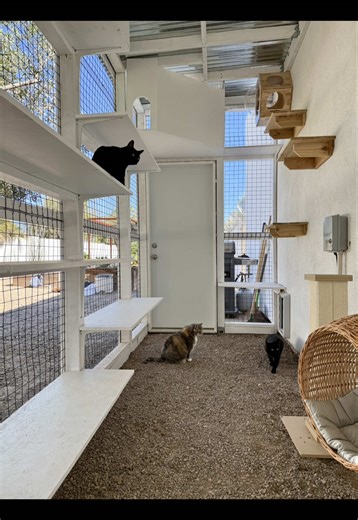 This catio was custom designed by Tailored Catios and built by the homeowner’s contractor. Once the design is handed off, it’s fun to see how different builders interpret the details and bring the vision to life ✨🐈‍⬛ #catio #cat