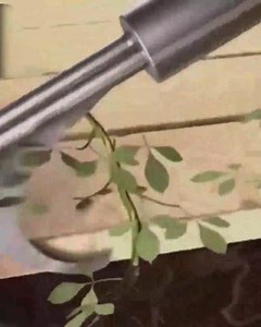 2.9K views |  Uma ferramenta de remoção de ervas daninhas que obedece às suas ordens! Oferta: 1+1  GRÁTIS, abaixo ★ Monte-o em qualquer cabo ★ É móvel e tem rodas ★ Desliza em rachaduras finas Clique  https://top.frilla.pt/r2unco/t1/v1/lp1?sp=7725i997 | Frilla | Facebook