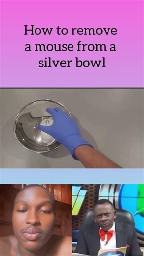 How to move mouse from bowl 🎗️😳
