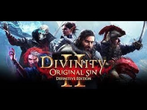 Divinity Original Sin II: Beginner's guide to choosing a class, very basic overview